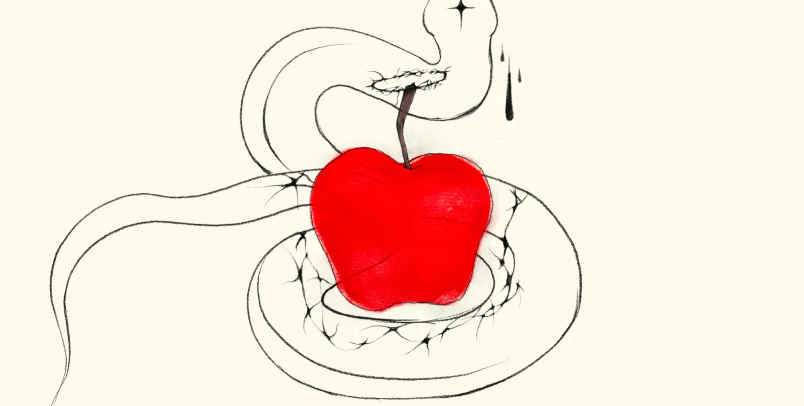 An Apple image 2