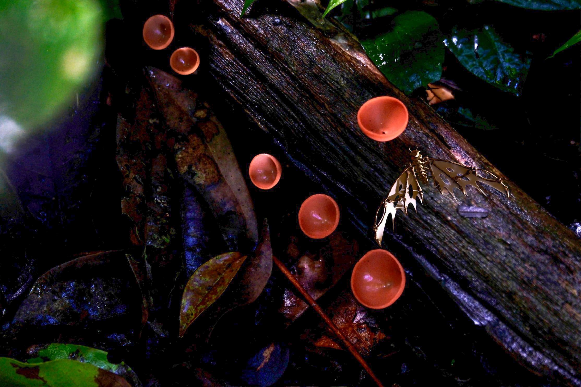 Moth Scene Render image 2