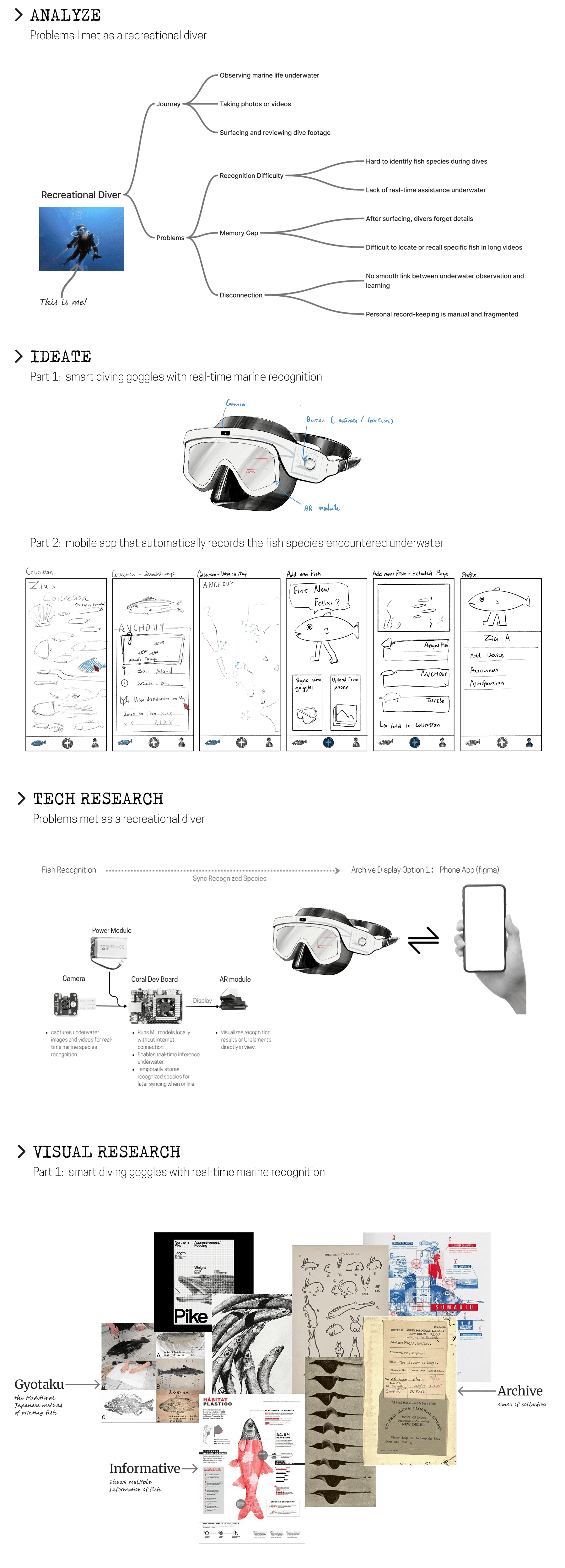 DiveDex Ideation and Research