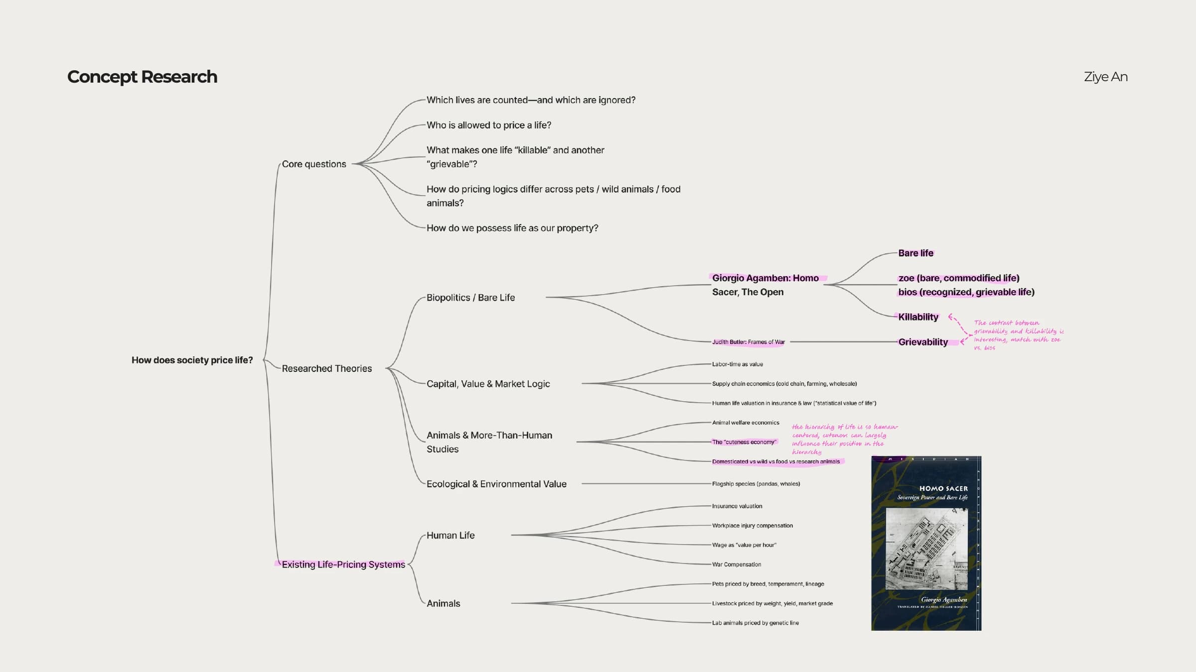 Secondary research: mapping the questions and systems behind life valuation.