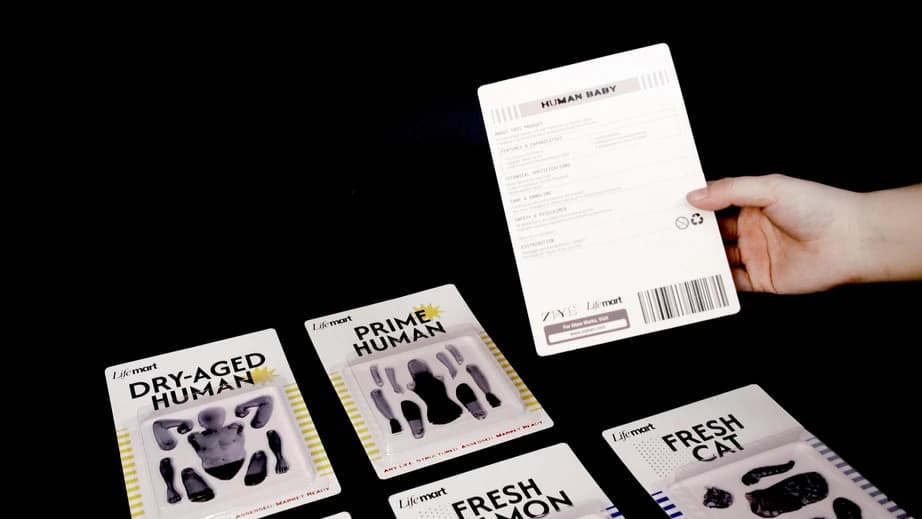 Packaging as an interface to the system