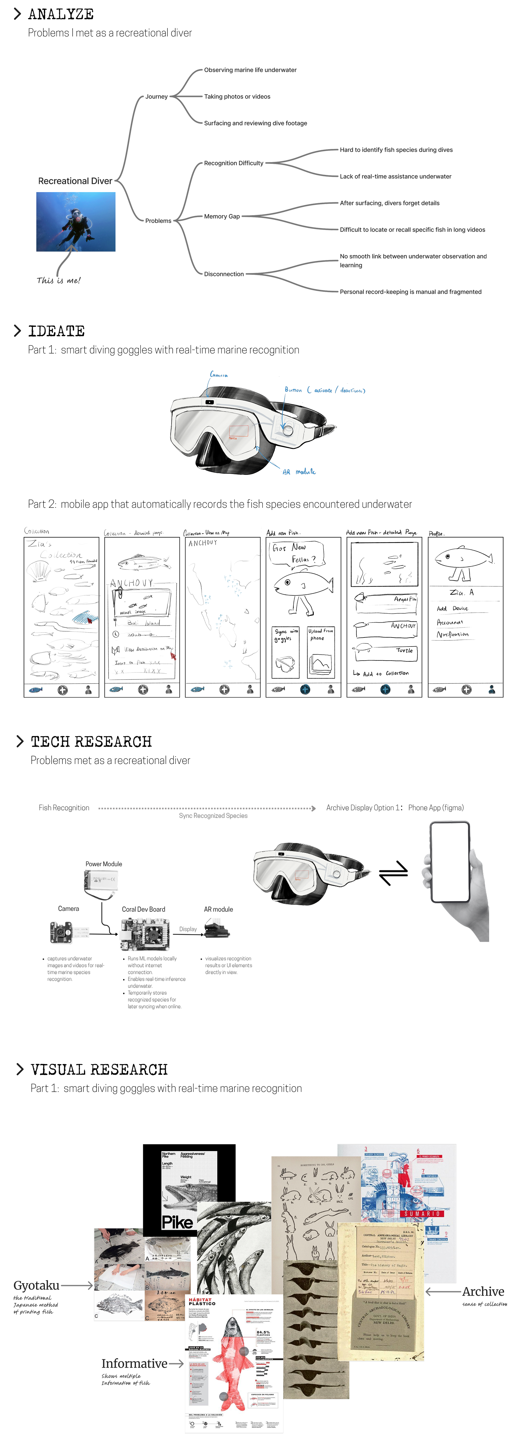 DiveDex Ideation and Research