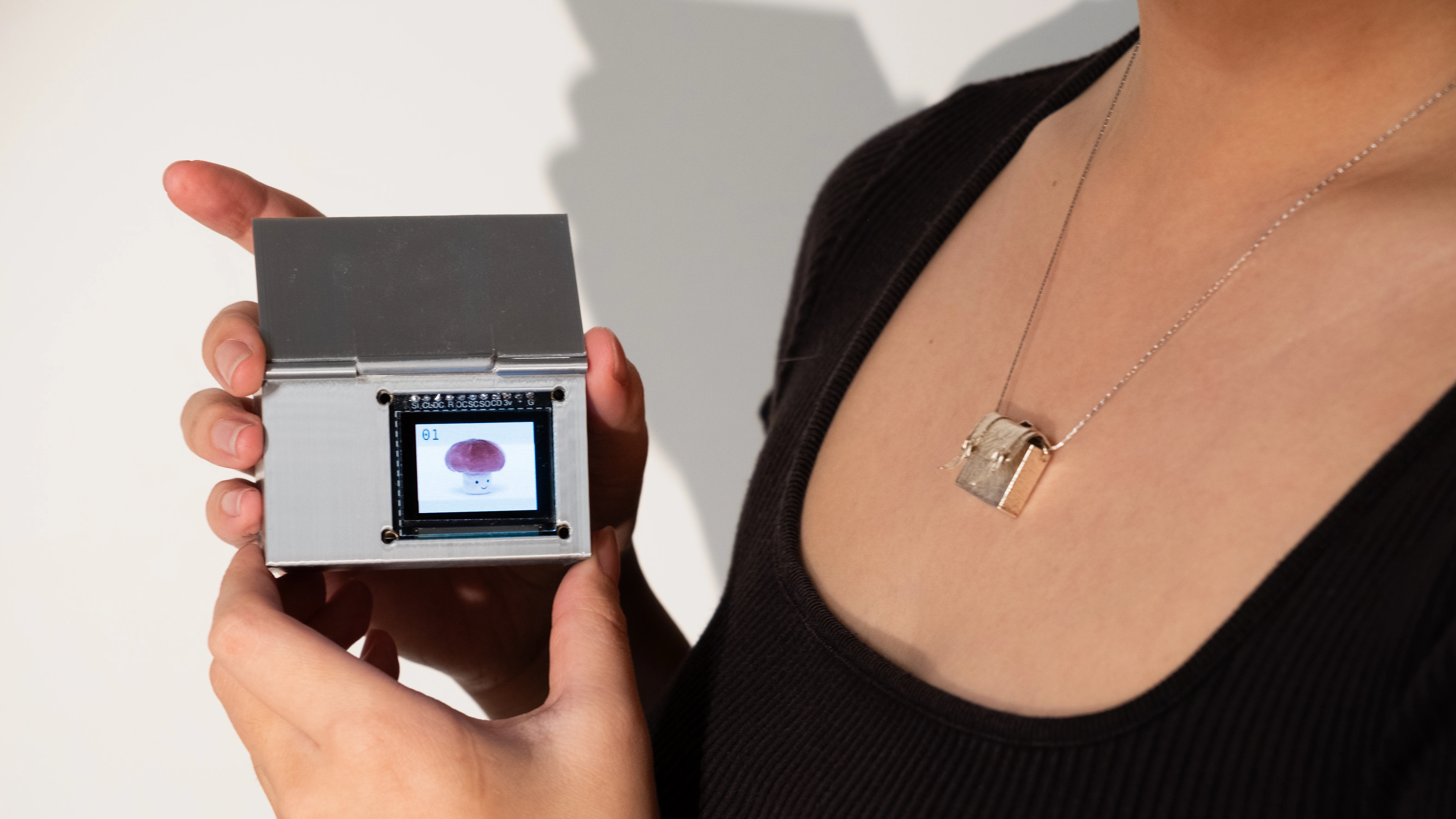 I want A Home I could Carry with