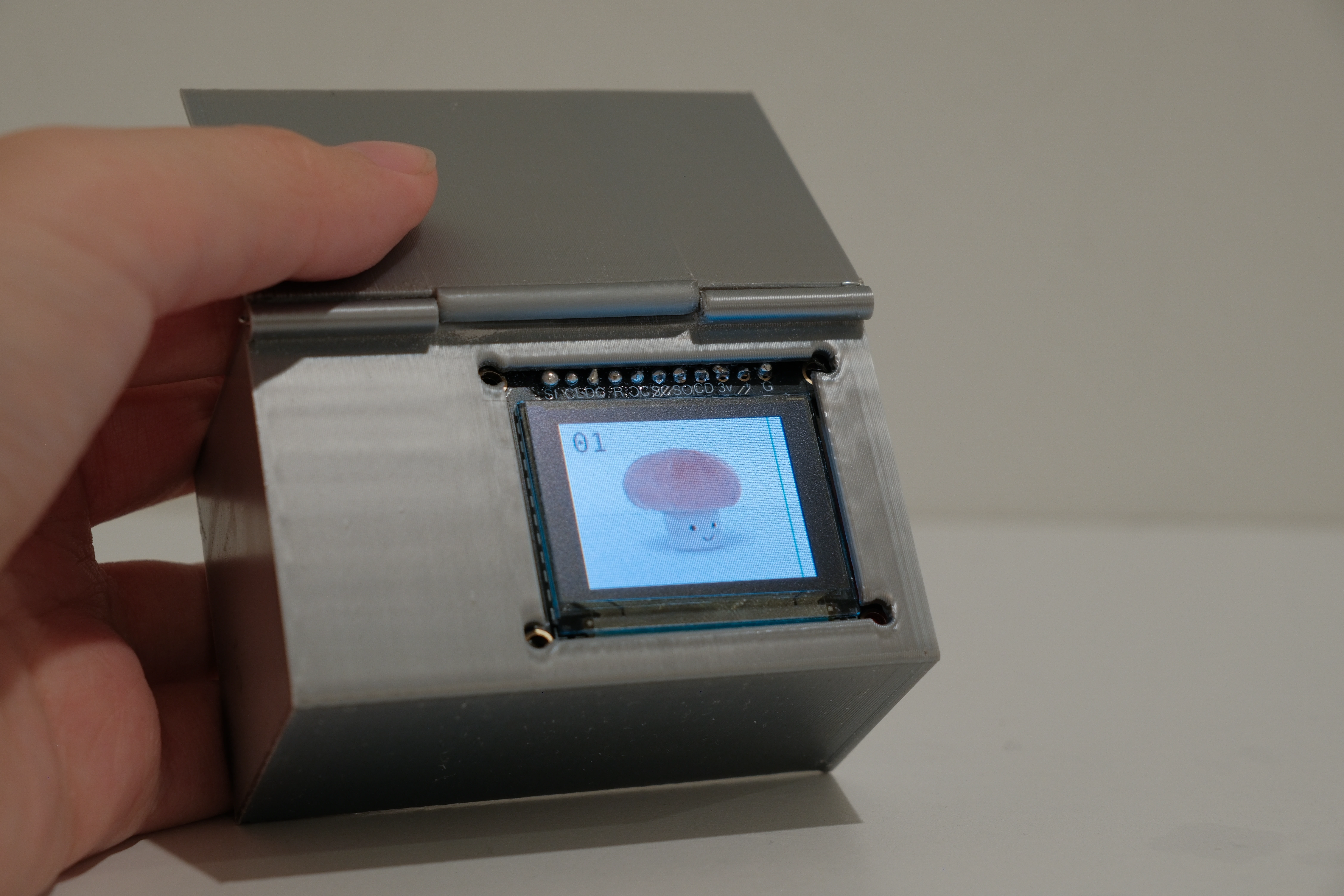 Final Outcome of the Portable Home